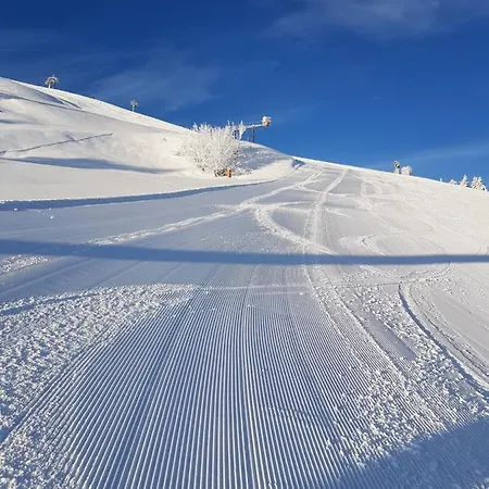 Haus Theresia Konukevi 3*