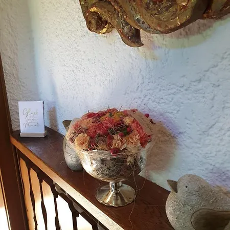 بيت ضيافة Haus Theresia ألباخ