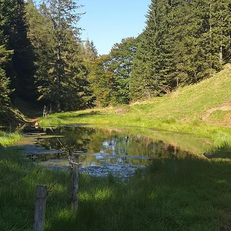 Konukevi Haus Theresia 3*