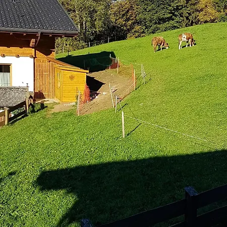 Haus Theresia Guest house Alpbach