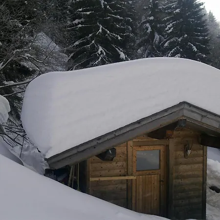 Casa de hóspedes Haus Theresia Alpbach
