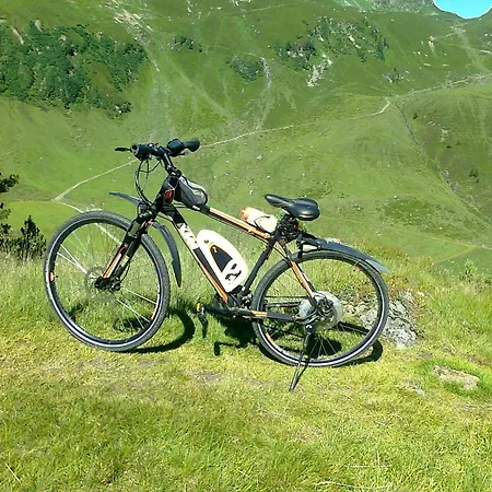 Haus Theresia 3* ألباخ