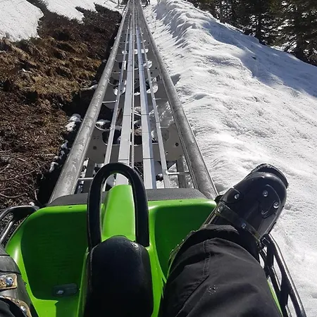 Haus Theresia Konukevi 3*