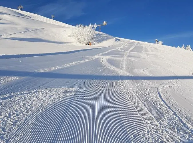 Haus Theresia Pensjonat 3*