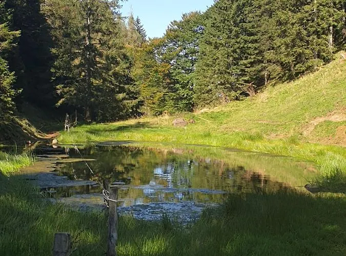 Pensjonat Haus Theresia 3*