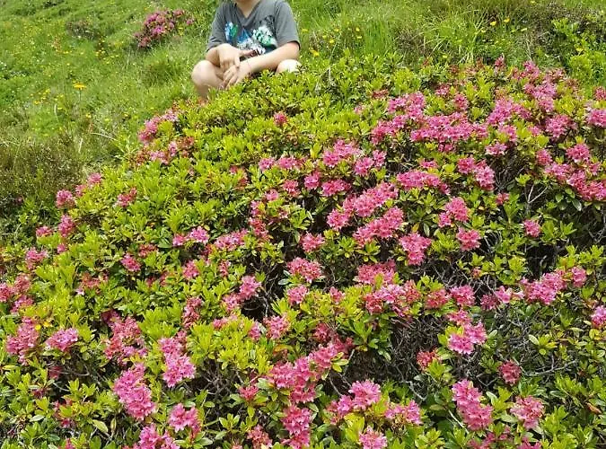 Haus Theresia Pensjonat