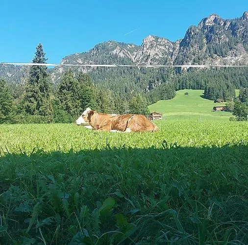 Haus Theresia Pensjonat